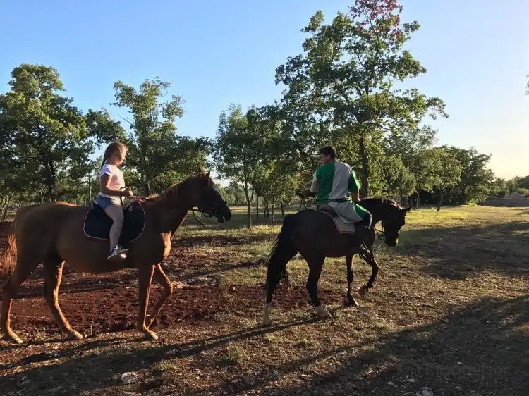 Hotels in Opcina Svetvincenat