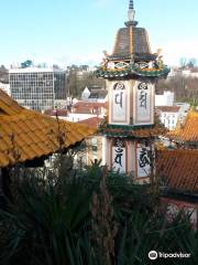 Pagode Tinh Tam