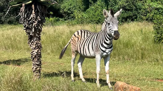 WESSA uMngeni Valley Nature Reserve & Education Centre