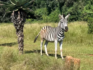 WESSA uMngeni Valley Nature Reserve & Education Centre