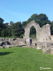 St Dogmaels Abbey