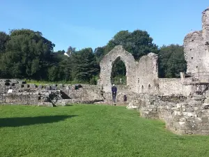 St Dogmaels Abbey