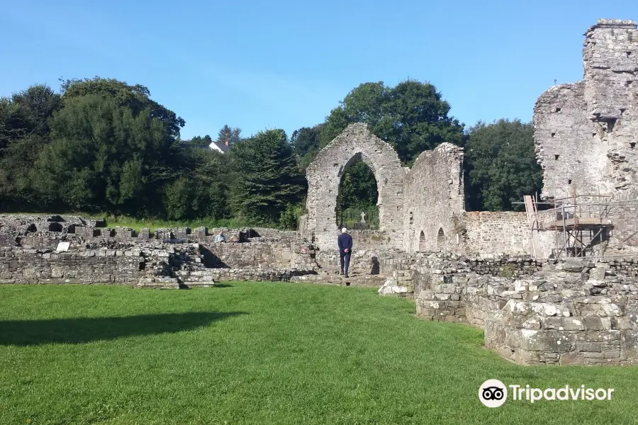 St Dogmaels Abbey