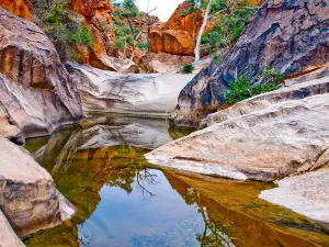 Tjoritja/West MacDonnell National Park
