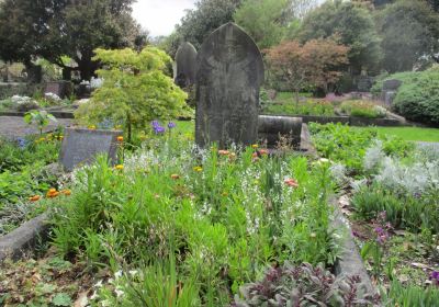 Te Henui Cemetery