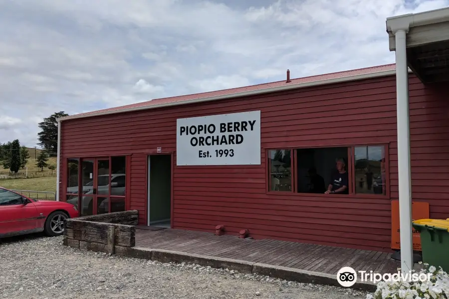 Piopio Berry Orchard