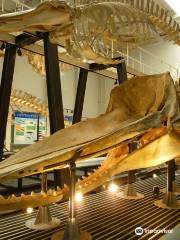 Ashoro Museum of Paleontology