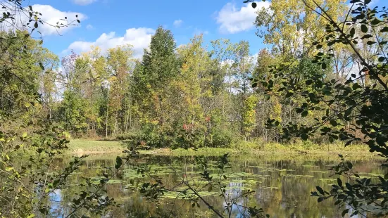 West Bloomfield Woods Nature Preserve