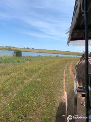 Matthew's Carriage Ride