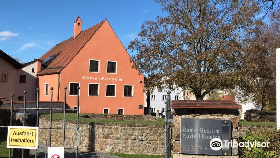 Roman Museum Castle Boiotro