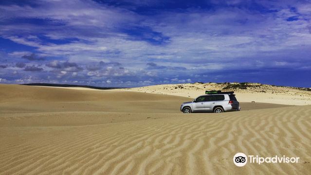 Australian Coastal Safaris