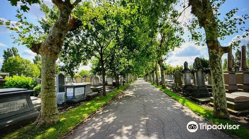 Liberal Jewish Cemetery, Willesden