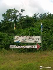 Monkey Forest Resort