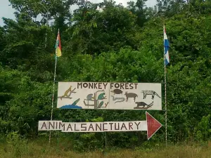 Monkey Forest Resort