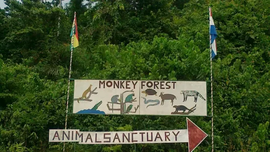 Monkey Forest Resort