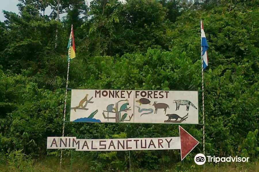 Monkey Forest Resort