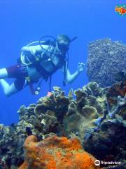 Diving Planet Cartagena - Centro de Buceo