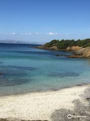 Porquerolles Plongée