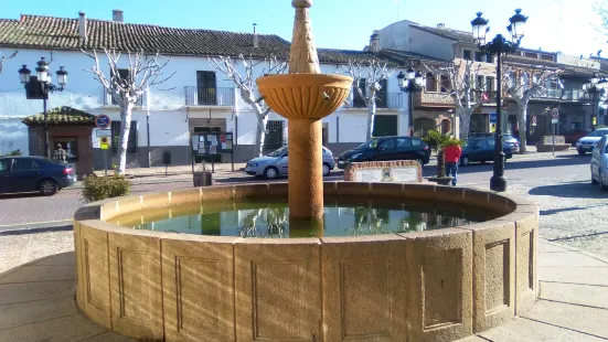 Plaza del Navarro