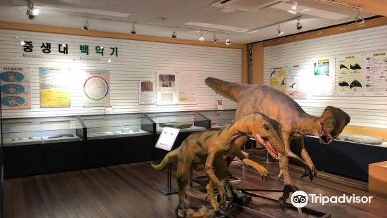 Natural History Museum, Kyungpook National University