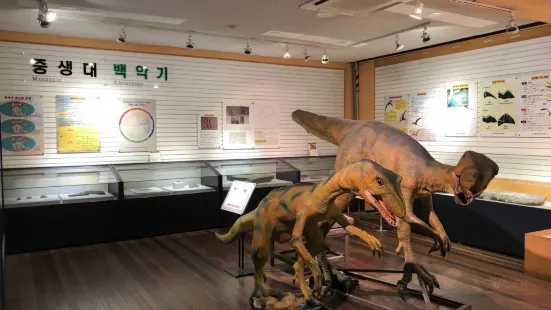 慶北大學自然史博物館