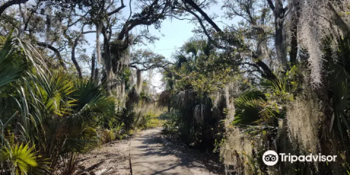 Yamato Scrub Natural Area