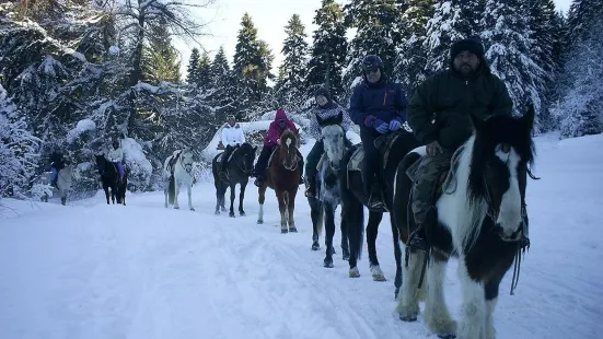 Bulgaria on Horseback