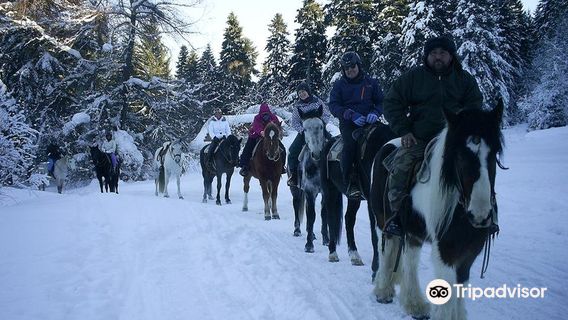 Borovets