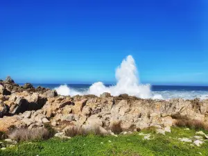 Kleinmond Beach