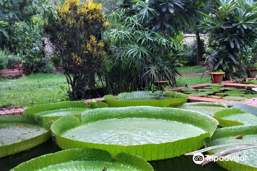 Jardín de Baldha