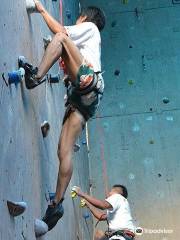 Astrek Climbing Wall