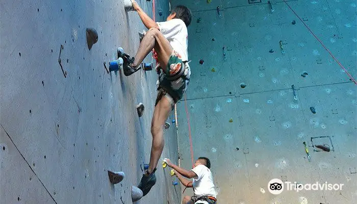 Astrek Climbing Wall