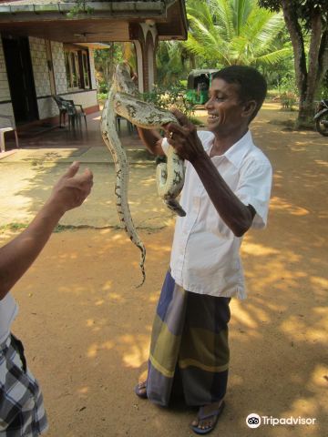 Snake Farm weligama (main snake rescue center)