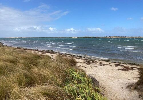 Shallow Inlet