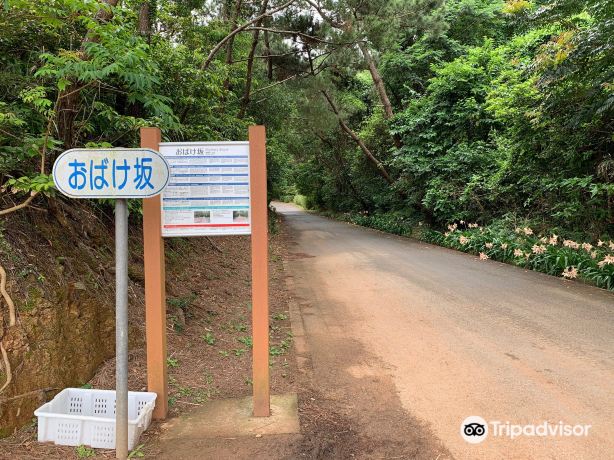 Obakezaka