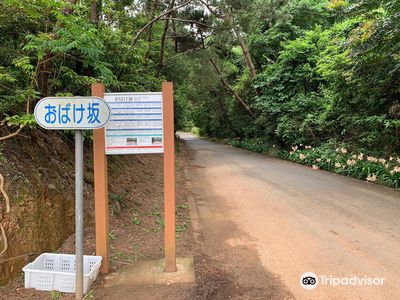 Obakezaka