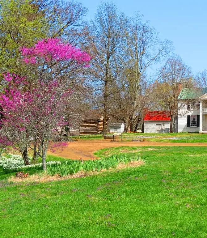 Smyrna