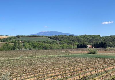 Domaine l'Ancienne Ecole