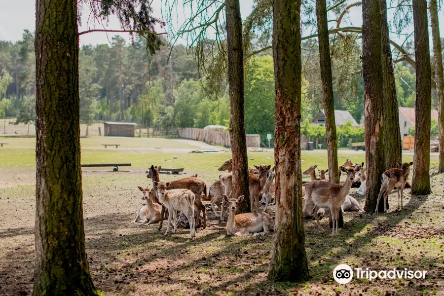 Wildpark Johannismuhle