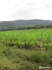 Serra do Lenheiro