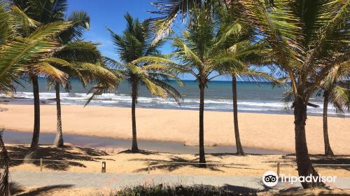 Costa do Sauipe Beach