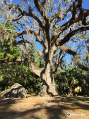 Bulow Creek State Park