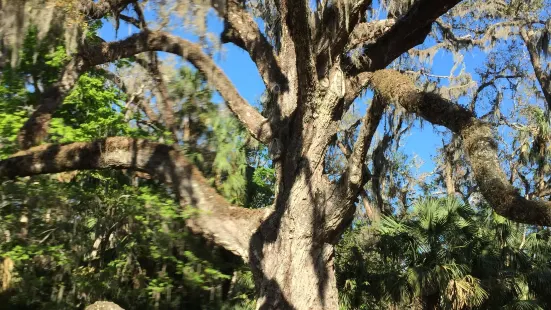 Bulow Creek State Park