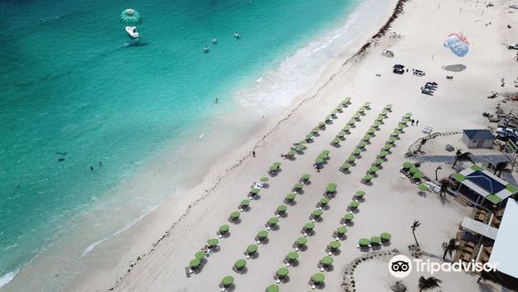 FLY ADDICTION PARASAIL