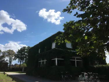 Jabbeke