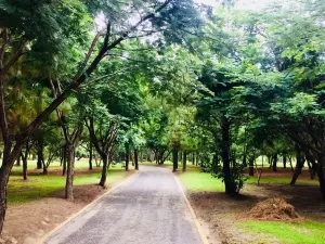 メトロポリタノ・デ・グアダラハラ公園