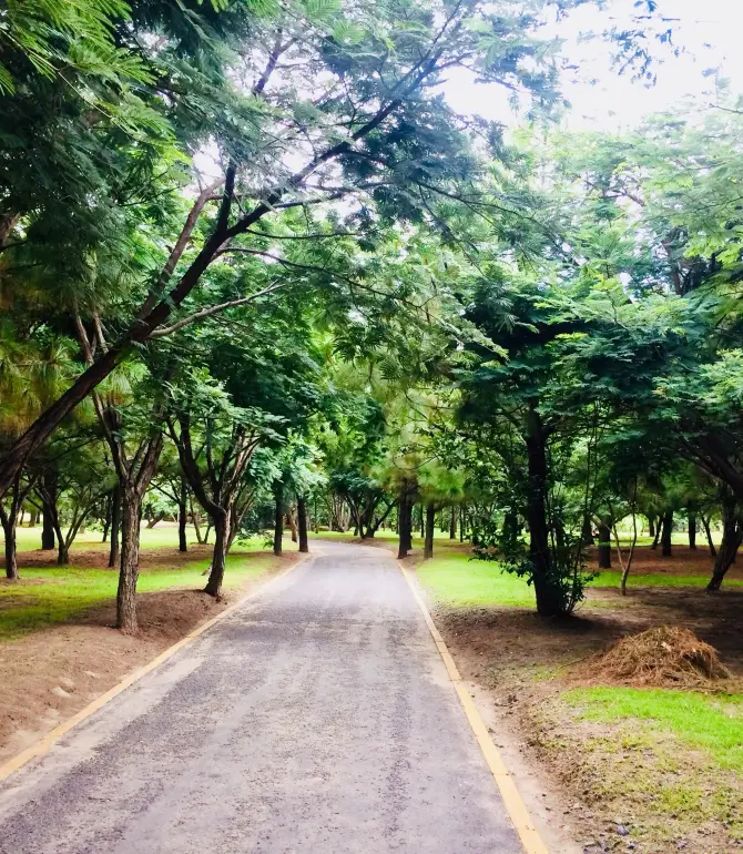 Zapopan