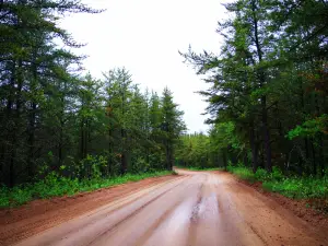 Moose Lake Provincial Park