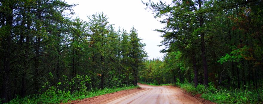 Moose Lake Provincial Park