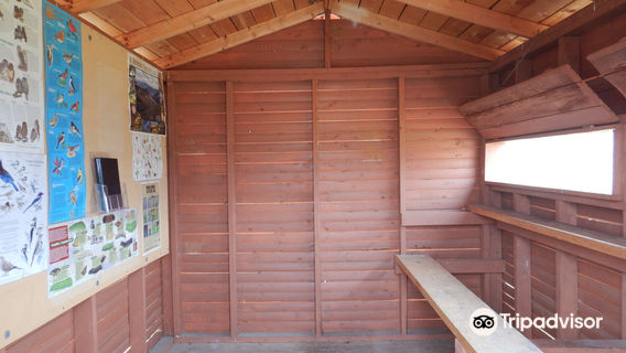 Swan Lake Bird Sanctuary